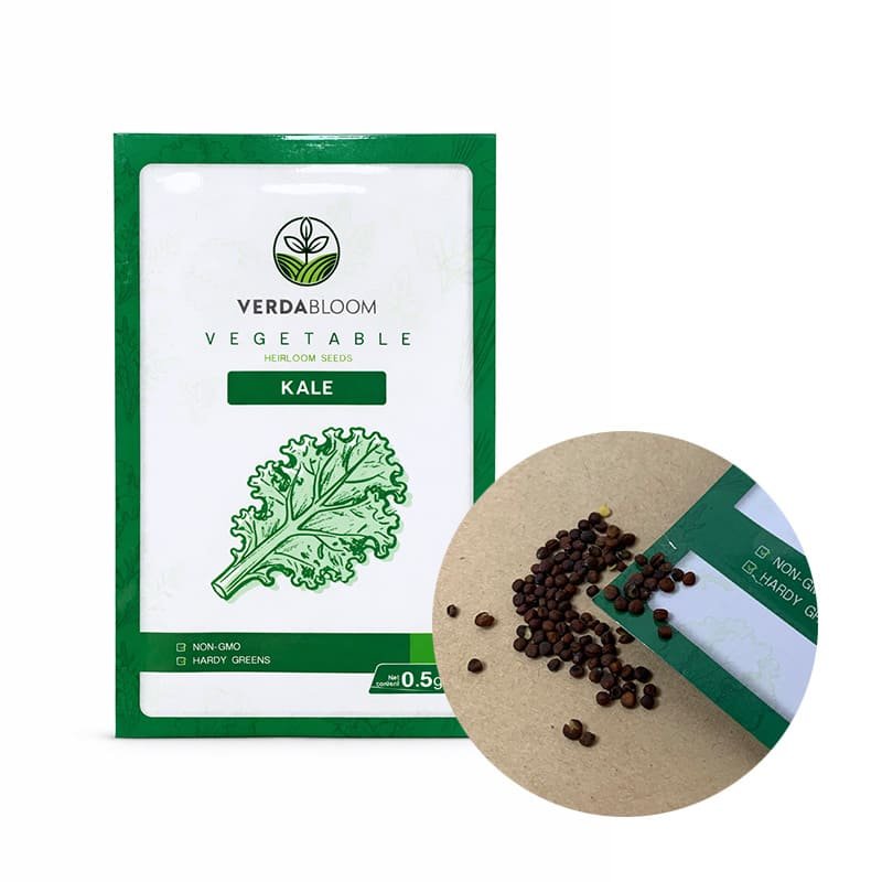 KALE Kitchen Garden Starter Kit – 6 Pack