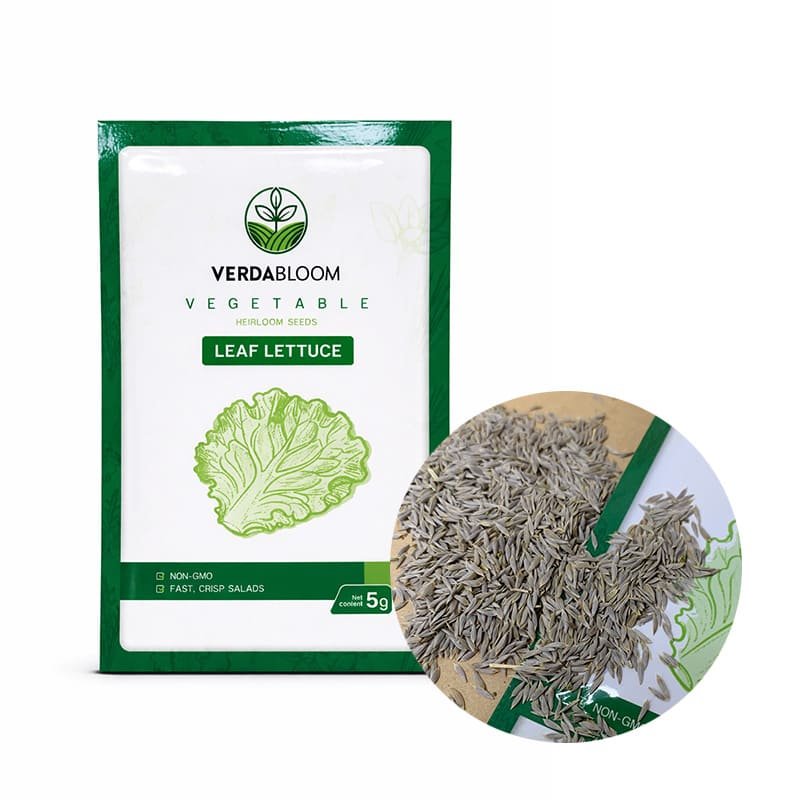 LEAF-LETTUCE Kitchen Garden Starter Kit – 6 Pack