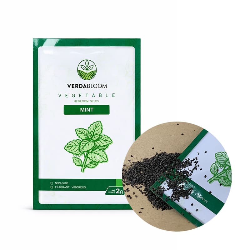 MINT Kitchen Garden Starter Kit – 6 Pack